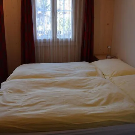 Däpp # 2 Lenk